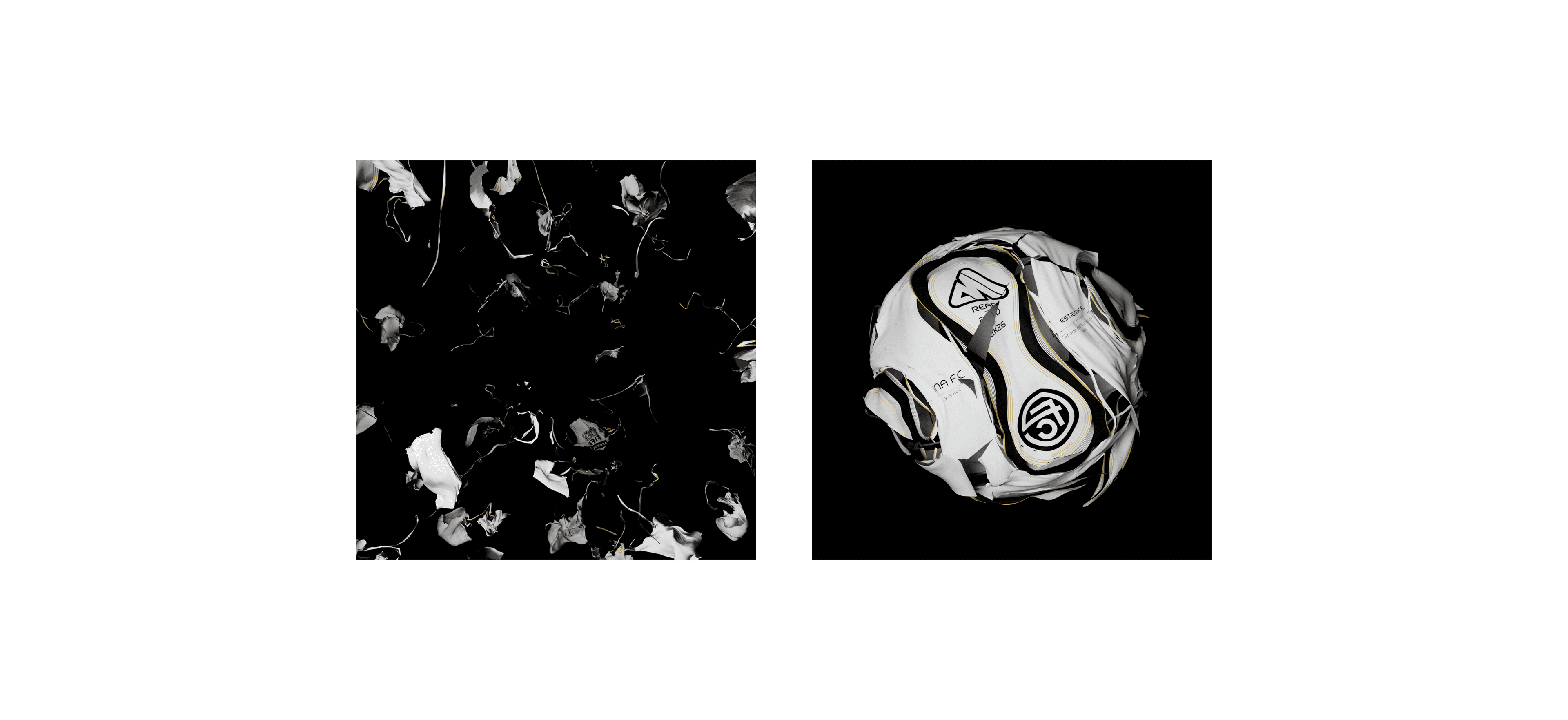 Case Study Image 4