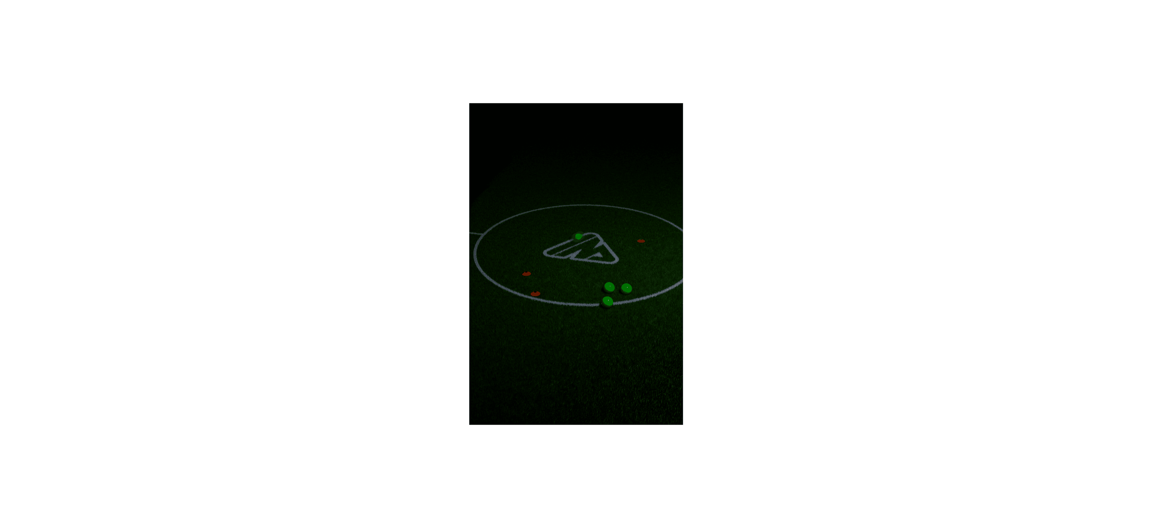 Case Study Image 3